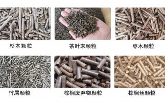 木屑顆粒機多少錢及發展趨勢如何？看這里