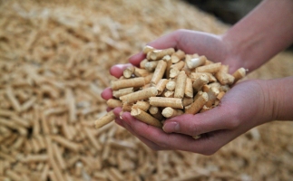 為什么越來(lái)越多人選鋸末顆粒機(jī)的生物質(zhì)顆粒取暖？