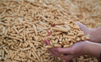 鋸末顆粒機(jī)生物質(zhì)顆粒，你需要知道的常識(shí)問(wèn)題